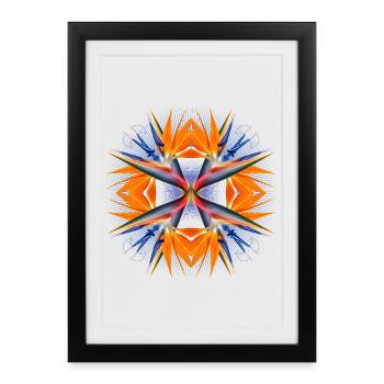 Mandala Oiseau de Paradis Fleur Abstrait Tropical Art - Affiche encadrée (27 × 37 cm) - noir - Devant