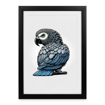 Perroquet gris d'Afrique propriétaire de perroquet gardien de perroquet - Affiche encadrée (27 × 37 cm) - noir - Devant