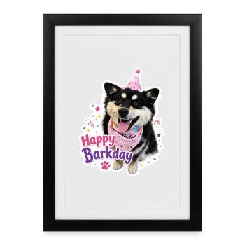 Joyeux Barkday Lapphund finlandais - Affiche encadrée (27 × 37 cm) - noir - Devant