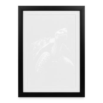 Turtle - Framed poster (27 × 37 cm) - black - Front