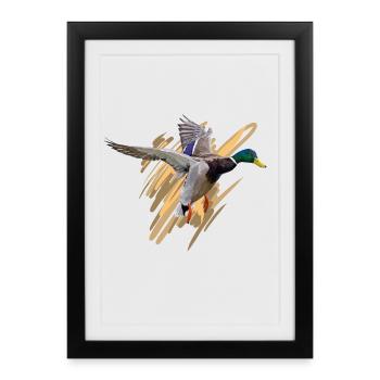 Duck - Affiche encadrée (27 × 37 cm) - noir - Devant