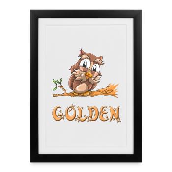Chouette d'or - Affiche encadrée (27 × 37 cm) - noir - Devant