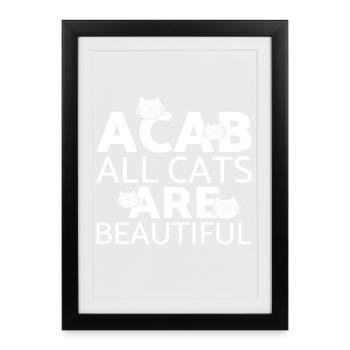 Katze Kätzchen Miau Hauskatze Katzenauge Katzendam - Gerahmtes Poster (27 × 37 cm) - Schwarz - Vorne