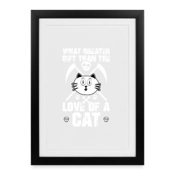 Cat kitten meow domestic cat cat eye cat dam - Framed poster (27 × 37 cm) - black - Front