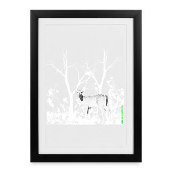 Biche Gracieuse Forêt Sauvage - Affiche encadrée (27 × 37 cm) - noir - Devant