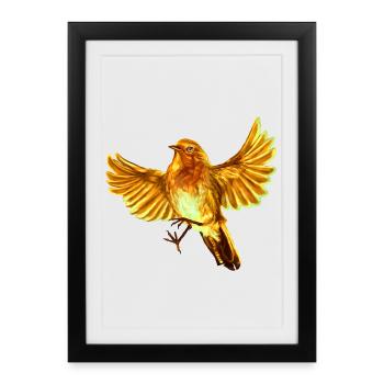 oiseau jaune - Affiche encadrée (27 × 37 cm) - noir - Devant