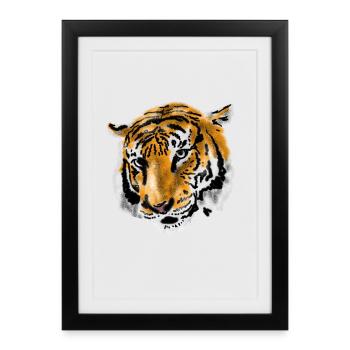 tigre - Affiche encadrée (27 × 37 cm) - noir - Devant