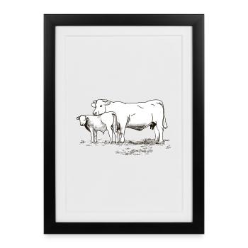 Vache avec veaux, ferme cadeau, bétail fermier - Affiche encadrée (27 × 37 cm) - noir - Devant