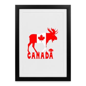 Canada Moose - Framed poster (27 × 37 cm) - black - Front