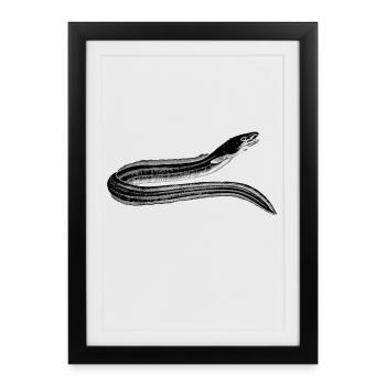 eel - Framed poster (27 × 37 cm) - black - Front