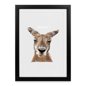 Kangaroo really? - Framed poster (27 × 37 cm) - black - Front