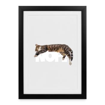 Nope cat - Framed poster (27 × 37 cm) - black - Front