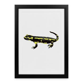 Fire salamander - Framed poster (27 × 37 cm) - black - Front
