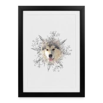 Malamute Crystal - Framed poster (27 × 37 cm) - black - Front