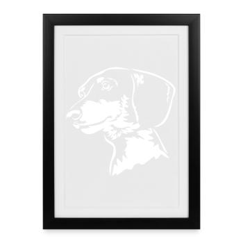 Tête de teckel « Black Edition » - Affiche encadrée (27 × 37 cm) - noir - Devant