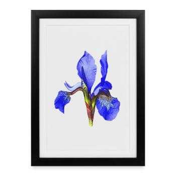 geburtstagsgeschenk mutter, schwertlilie - Gerahmtes Poster (27 × 37 cm) - Schwarz - Vorne