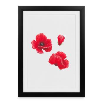 Poppy Aquarelle Illustration Art - Affiche encadrée (27 × 37 cm) - noir - Devant
