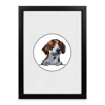 Drever Dog for Peeking Dog Lovers - Framed poster (27 × 37 cm) - black - Front