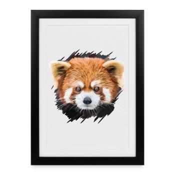 Petit panda - Affiche encadrée (27 × 37 cm) - noir - Devant
