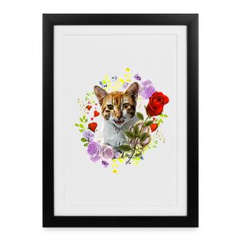Cat laughing with rose for love - Framed poster (27 × 37 cm) - black - Front