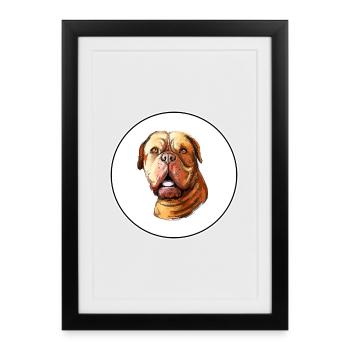 Dogue De Bordeaux Aquarelle pour chien Illustration - Affiche encadrée (27 × 37 cm) - noir - Devant
