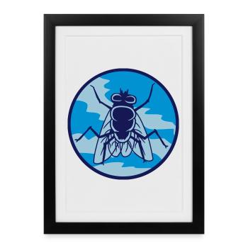 Circle housefly small house fly - Framed poster (27 × 37 cm) - black - Front