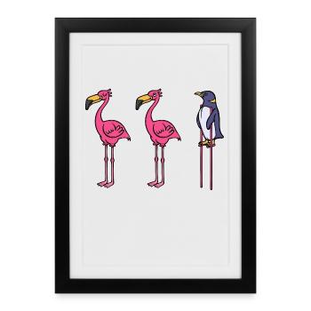 Drôle d’animal Pingouin Oiseau de mer Zoo Oiseau - Affiche encadrée (27 × 37 cm) - noir - Devant