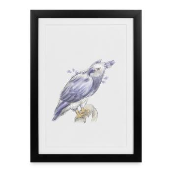 Harpie - Affiche encadrée (27 × 37 cm) - noir - Devant