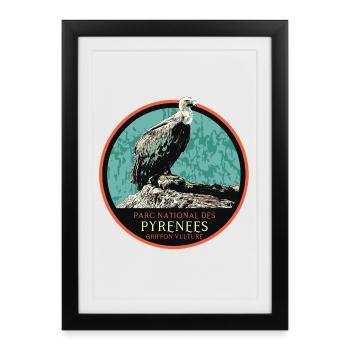 Vautour dans le Parc National des Pyrénées - Affiche encadrée (27 × 37 cm) - noir - Devant