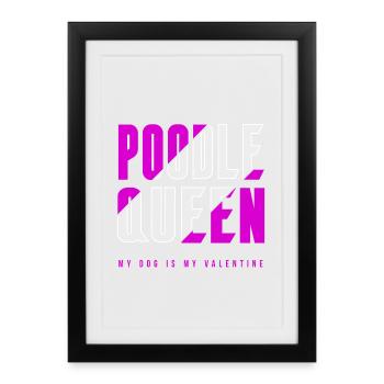 Reine des caniches - Affiche encadrée (27 × 37 cm) - noir - Devant