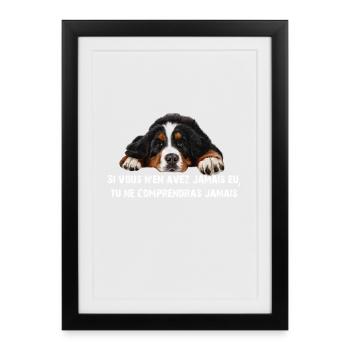 Bouvier bernois - Affiche encadrée (27 × 37 cm) - noir - Devant