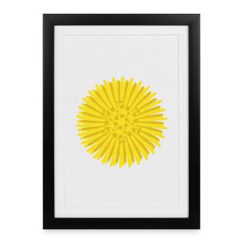 Tussilage - Affiche encadrée (27 × 37 cm) - noir - Devant