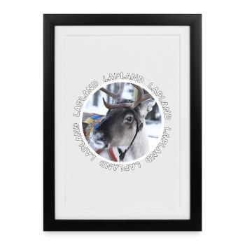 Renne de Laponie - Affiche encadrée (27 × 37 cm) - noir - Devant