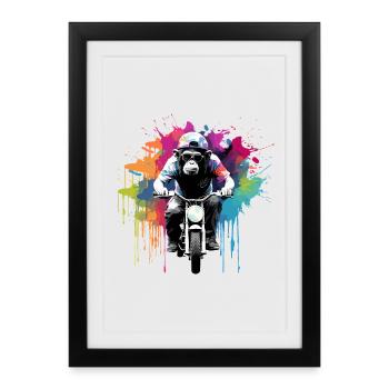 Funny Monkey Monkey Motorcycle Sunglasses Chimpanzee - Framed poster (27 × 37 cm) - black - Front