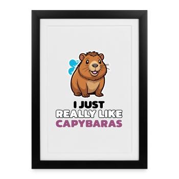 I JUST REALLY LIKE CAPYBARAS - Framed poster (27 × 37 cm) - black - Front
