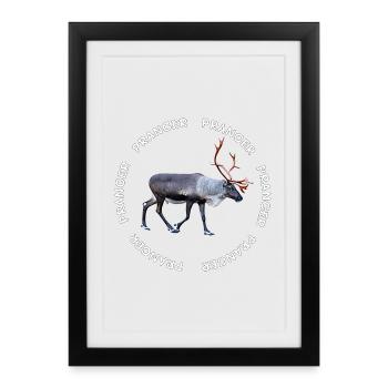 PRANCER - Framed poster (27 × 37 cm) - black - Front