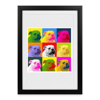 A bulldog - Affiche encadrée (27 × 37 cm) - noir - Devant