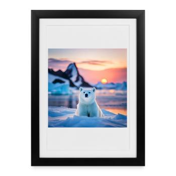Pooh on the Ice Floe - Framed poster (27 × 37 cm) - black - Front