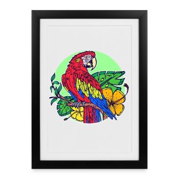 Animal De Compagnie, Animal Tropical, Oiseau, Perroquet, Animaux De Zoo - Affiche encadrée (27 × 37 cm) - noir - Devant
