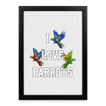 Animal Statement Animal Lover Parrot Birds Zoo - Framed poster (27 × 37 cm) - black - Front