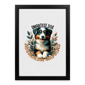 Chiot Berger Australien Chien Intelligent - Affiche encadrée (27 × 37 cm) - noir - Devant