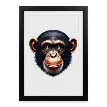 Singe chimpanzé - Affiche encadrée (27 × 37 cm) - noir - Devant