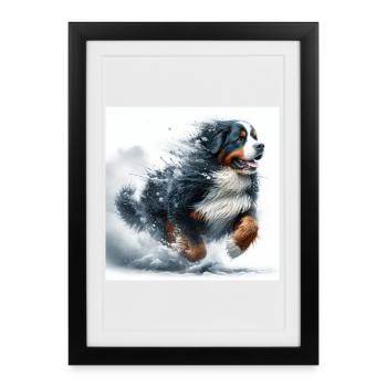 Bernese mountain dog - Framed poster (27 × 37 cm) - black - Front