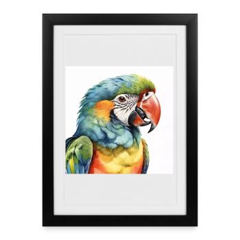 Ara aquarelle - Affiche encadrée (27 × 37 cm) - noir - Devant