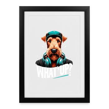 Irish Terrier Que se passe-t-il cadeau de chien gangsta - Affiche encadrée (27 × 37 cm) - noir - Devant