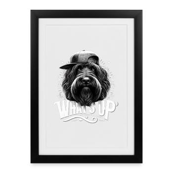 Schapendoes What’s Up Gangsta Cool Dog Gift - Affiche encadrée (27 × 37 cm) - noir - Devant