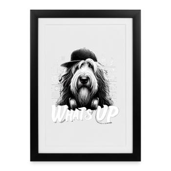Schapendoes What's Up Gangsta Cool Dog Gift - Framed poster (27 × 37 cm) - black - Front