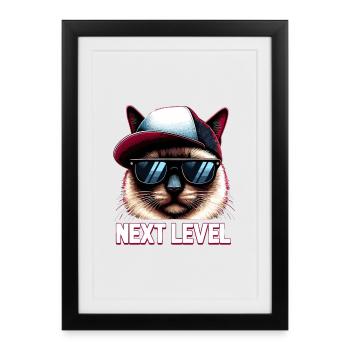Siamese Cat Siamese Cat Next Level Hip Hop Gift - Framed poster (27 × 37 cm) - black - Front