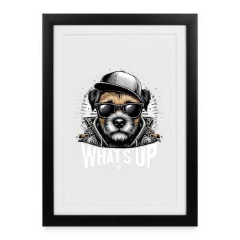 Border Terrier What's Up Cappy Gift - Framed poster (27 × 37 cm) - black - Front