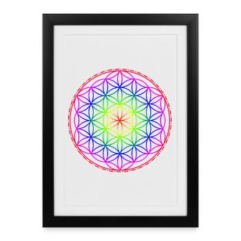 Fleur de vie arc-en-ciel - Affiche encadrée (27 × 37 cm) - noir - Devant